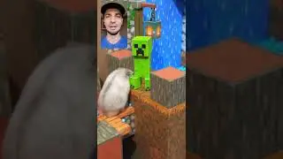 Живой хомяк зарабатывает на youtube