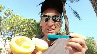 Maracuja: Il frutto che ti farà dire 