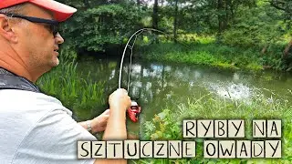Złowiliśmy dzikie RYBY w ZIELSKACH na imitacje OWADÓW !
