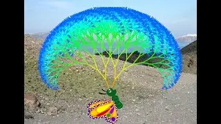 777