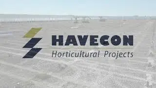 Havecon - Royal Peppers fase 4 9 juni '21