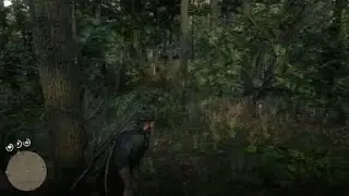 Angry Elk Chase