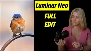 Luminar Neo, editing made easy!