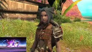 The Seeds of Popularity - FFXIV Lvl 94 Caster Role Quest