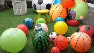 Lempar Lempar Bola - Bola Warna Warni - Bola Semangka