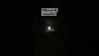 Moon struck #moonlight