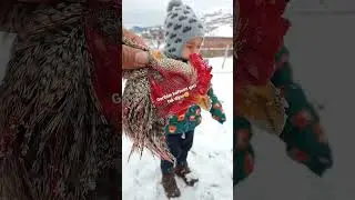 şaka