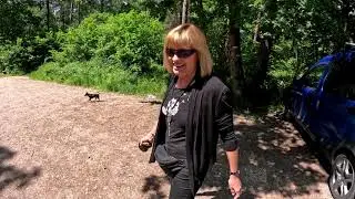 Spaziergang mit Claudi und Filou im Hasslocher Wald und den Königswiesen