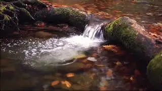 Relax with the sound of water and rain
