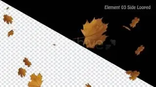 Falling Leaves After Effects Project