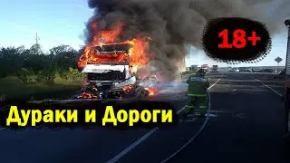 Дураки и дороги 2023