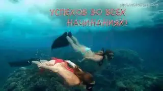 Сказочно красивое видеопоздравление с днем рождения  Видео подарок  Шаблон №4 2