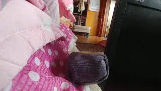 제목있음