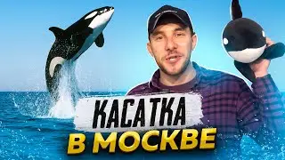 Команда Globaldrive в Москвариуме