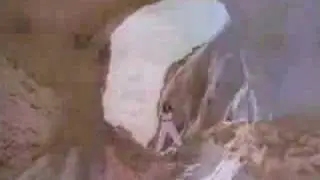 Windforce11 (1986)