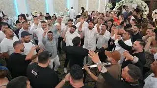 Leo de la Kuweit  🔴 Cel mai dulce caracter 2024