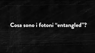 #IlPOLIMIrisponde
