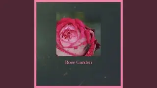 Rose Garden