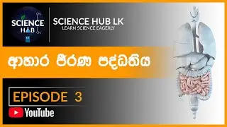 O/L Science | Grade 11 | Lesson 6 | ආහාර ජීරණ පද්ධතිය | Human Digestive System | Episode 3 | Sinhala