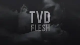 TVD ✖ F L E S H