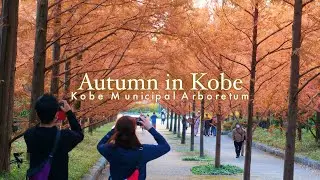 Autumn Photo Spot in Kobe: Kobe Municipal Arboretum| Musim Gugur di Jepang