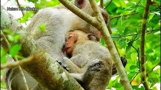 So pity poor little Janet very sick&hurt request mom care&milk,How can we help Janet
