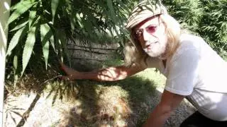 Jorge Cervantes: Humboldt Local 2011 Medical Marijuana / Cannabis (Part 2)