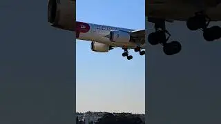 A330NEO TAP AIR PORTUGAL ✈️ #airport #lisboa #shorts