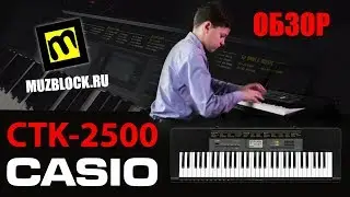 Синтезатор Casio CTK-2500, обзор, звук и функции