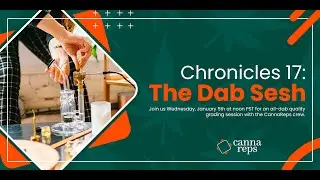 The Dab Session: Rosin Pressing + Dab Quality Grading | CHRONICLES Ep 17
