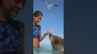 бикини высокие девушки модели фигура 