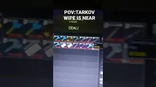 POV:TARKOV WIPE IS NEAR