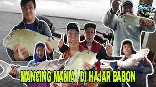 MANCING MANIA | DIHAJAR BABON