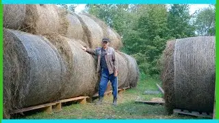 Наконец то сдвинул сарай для коров с "мертвой точки" и сложили "пирамиду"! Деревенские будни