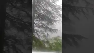 Foggy Weather #shimla #aaj_mausam_kaisa_rahega