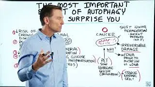 Wrpup'd Video of "The Most Important Benefit of Autophagy: Will Surprise You"