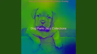 Piano Jazz Soundtrack for Calming Your Dog