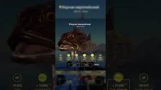 Керчак трофей #rf4 #рр4 #русскаярыбалка4 #russianfishing4
