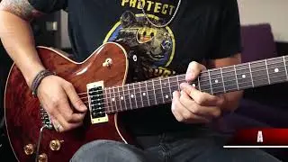 Progressive Shred Solo