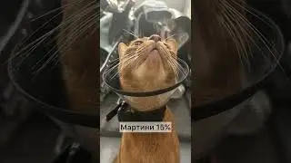 Тест на профориентацию. Ч.2)))