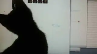 Carl vs. Mac