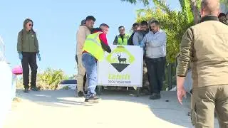 Tedavisi tamamlanan Akdeniz foku mavi sularla buluştu