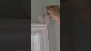 why you should use primer sealer on drywall? 