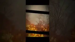 Stalker Эдит | Монолит | 