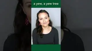 You, yew & ewe | English Homophones 