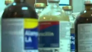 nasanjargal new.flv