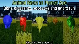 Lions, tigers, peacocks and elephants run at Planet Zoo. Who will take first place?
