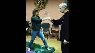Векторное усилие Пэн-Люй через ФанСун.