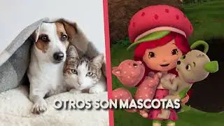 Canciones Originales | Día de los Animales | #SemillitasTV