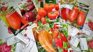 Лучшие томаты для будущего сезона/Мой выбор томатов 